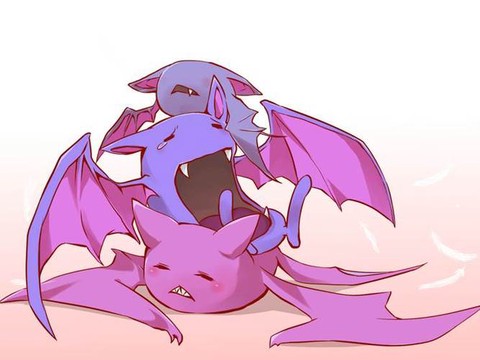 口袋妖怪大嘴蝠怎么进化