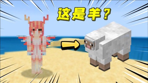 我的世界用什么喂羊