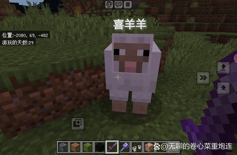 我的世界用什么喂羊[图1]