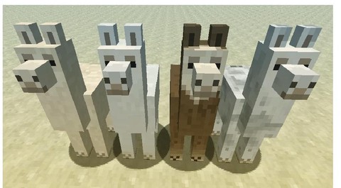 我的世界草泥马怎么骑