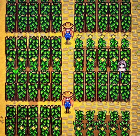 星露谷物语如何送花[图2]